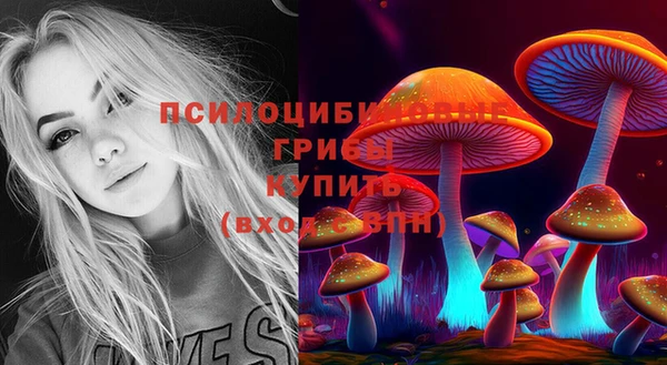 дмт Абдулино