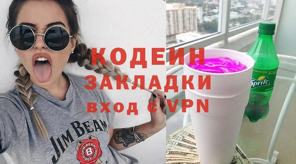хмурый Алзамай