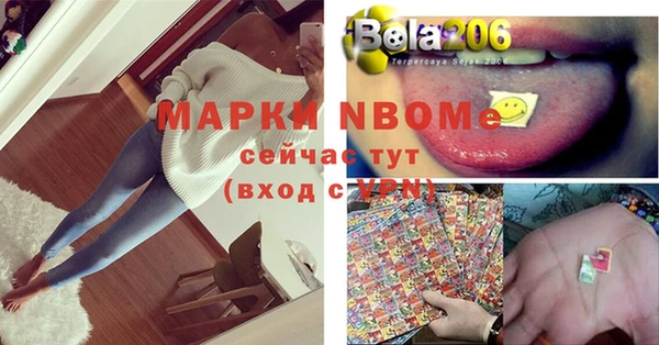 хмурый Алзамай