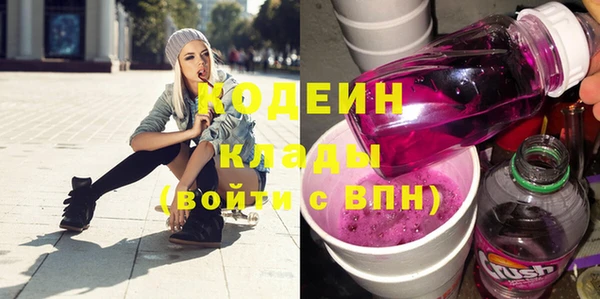 хмурый Алзамай