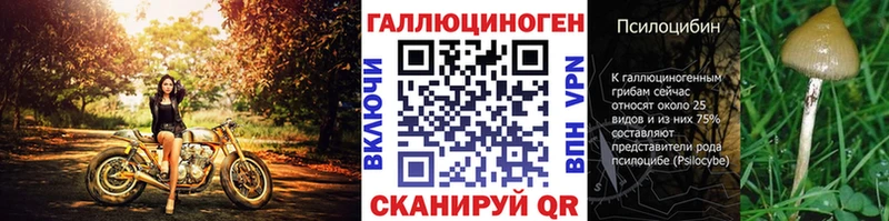 shop официальный сайт Егорьевск Псилоцибиновые грибы мицелий